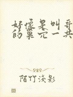 好像是叫哥布林的巢穴一共四集