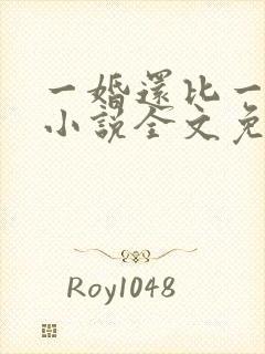 一婚还比一婚高小说全文免费