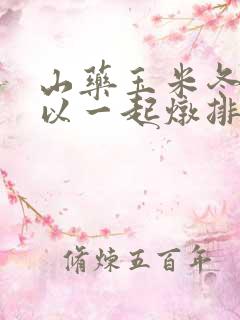 山药玉米冬瓜可以一起炖排骨吗
