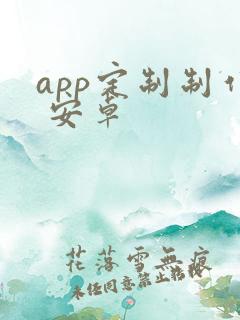 app定制制作 安卓