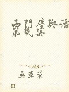 西门庆与潘金莲第几集