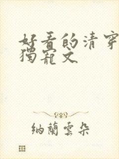 好看的清穿四爷独宠文