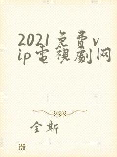 2021免费vip电视剧网