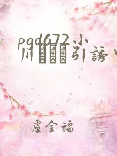 pgd672小川あさが引诱中出
