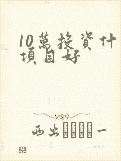 10万投资什么项目好