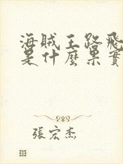 海贼王路飞吃的是什么果实