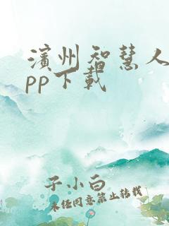滨州智慧人社app下载