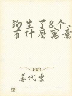 狗生了8个小狗有什么寓意