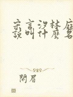 宋言汐林庭风小说叫什么名字