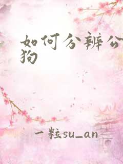如何分辨公狗母狗