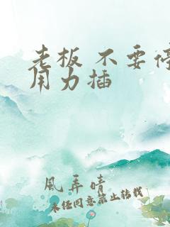 老板 不要停 用力插