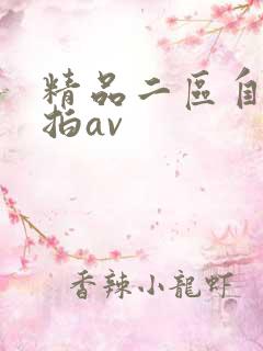 精品二区自拍偷拍av