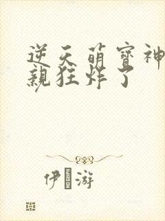 逆天萌宝神医娘亲狂炸了