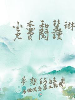小杰和慧琳全文免费阅读