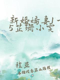 新婚娇妻1一25芷珊小雯