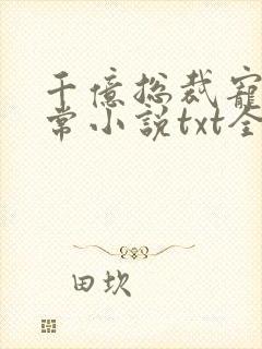 千亿总裁宠妻日常小说txt全文下载