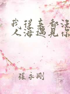 我从来都没后悔人海遇见你是什么歌 我从来都没后悔人海遇见你是什么歌