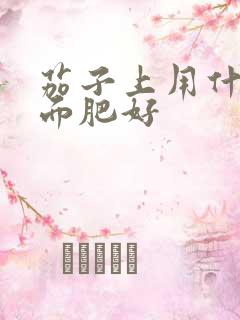茄子上用什么叶面肥好