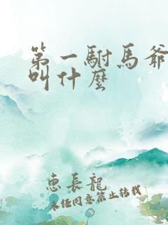 第一驸马爷主演叫什么 第一驸马爷主演叫什么