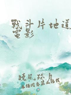 战斗片地道战老电影