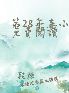 第28年春小说免费阅读
