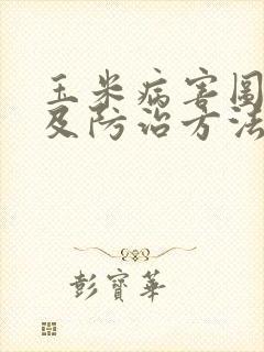 玉米病害图解以及防治方法