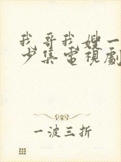 我哥我嫂一共多少集电视剧