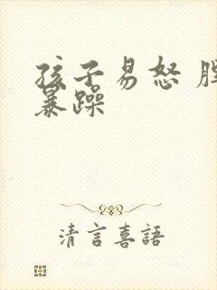 孩子易怒 脾气暴躁 孩子易怒 脾气暴躁