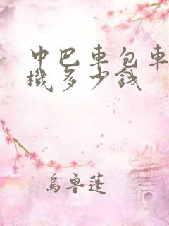 中巴车包车带司机多少钱