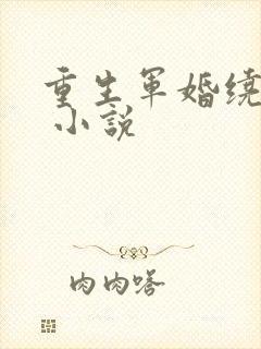 重生军婚绕指柔 小说
