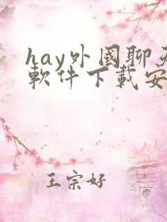 hay外国聊天软件下载安卓