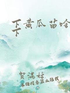 下黄瓜苗啥时间下