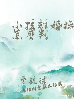 小孩离婚抚养权怎么判