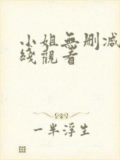 小姐无删减版在线观看