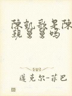 陈凯歌是陈赫的亲舅舅吗