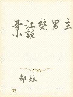 晋江双男主原耽小说