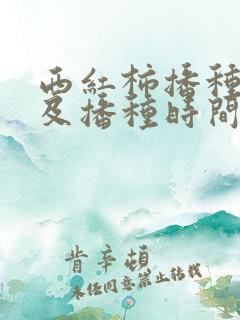 西红柿播种方法及播种时间