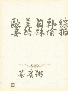 欧美日韩综合人妻丝袜偷拍精品
