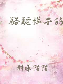 骆驼祥子的小说