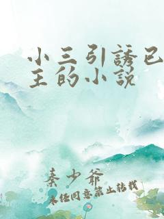 小三引诱已婚男主的小说