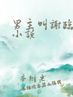 男主叫谢临渊的小说
