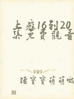 上瘾16到20集免费观看