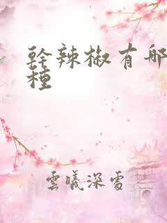 干辣椒有哪些品种