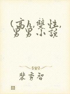 (高h,双性,男男小说
