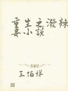 重生之泼辣小福妻小说