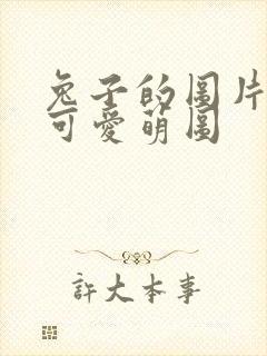 兔子的图片大全可爱萌图