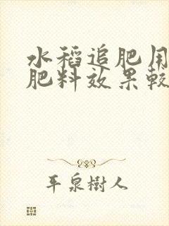 水稻追肥用什么肥料效果较快而好