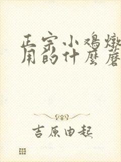正宗小鸡炖蘑菇用的什么蘑菇