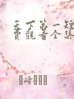 天下第一短剧免费观看全集完整版