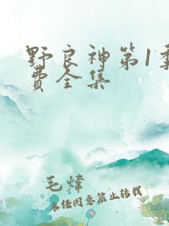 野良神第1季免费全集